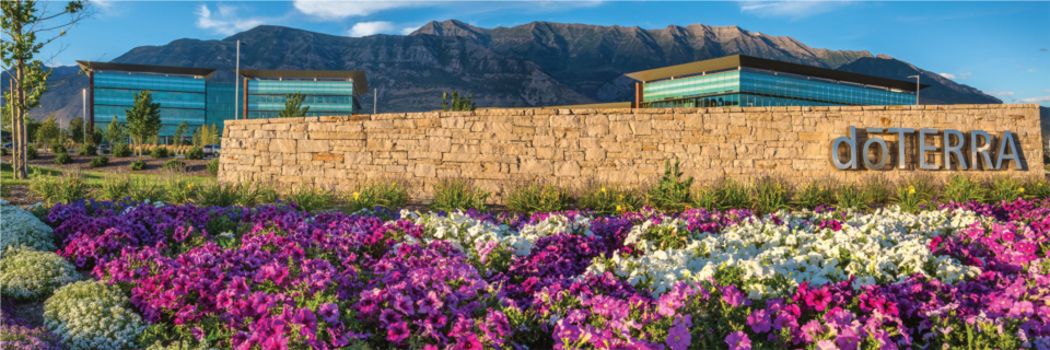 SE87364_photo_01_orig1